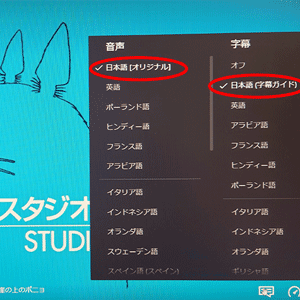 Netflixの音声・字幕設定