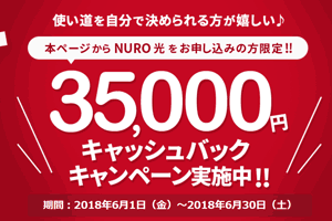 NURO光公式キャッシュバックキャンペーン特設ページ